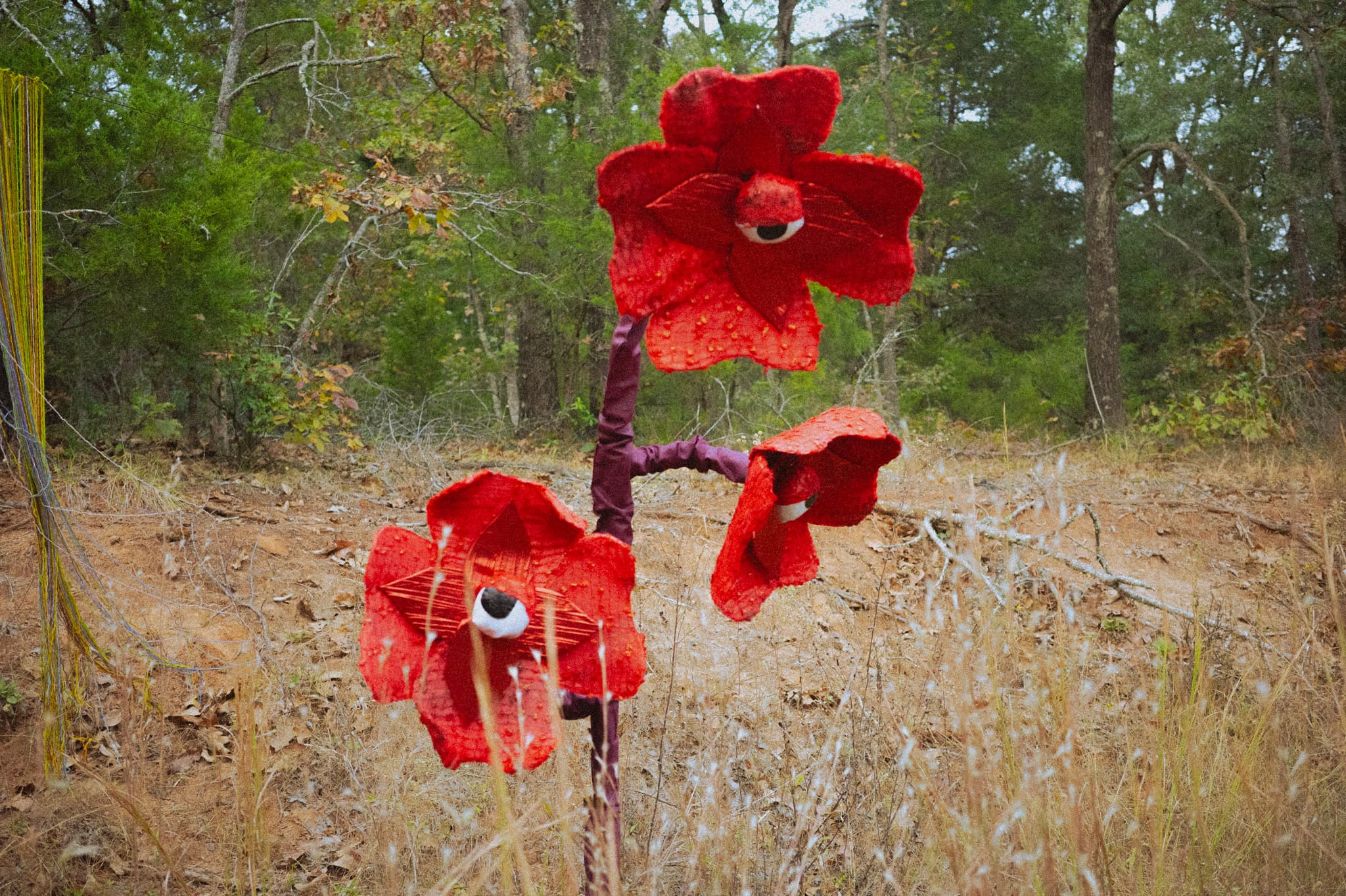 Oversized red flower sculptures with googly eyes standing in a dry field